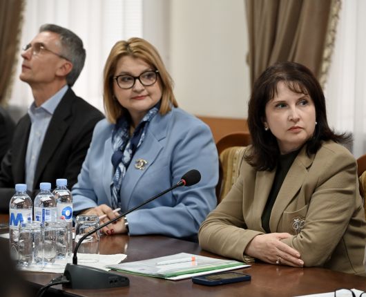 Senat